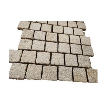 Mesh paver