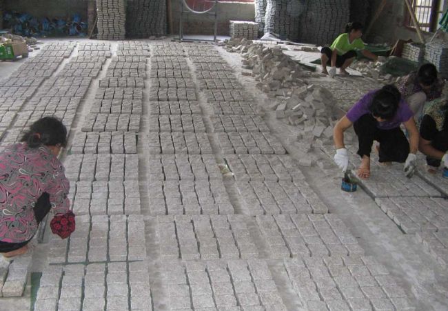 Mesh Paver