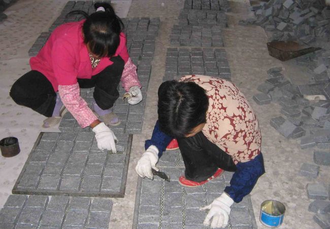 Mesh Paver