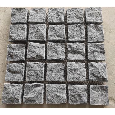 Mesh Paver