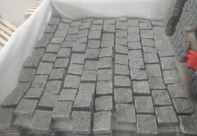 Mesh Paver